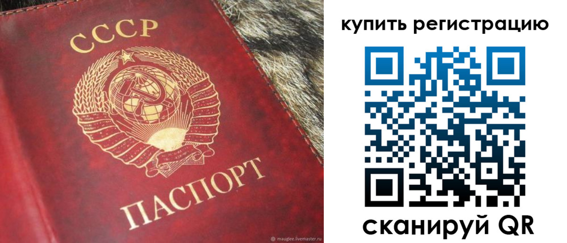 временная регистрация 2025 в Мытищах